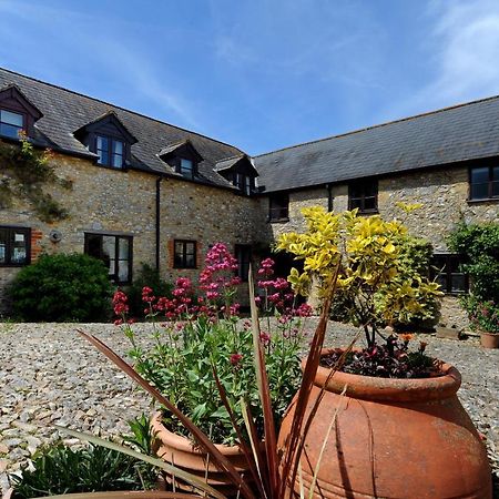 Rose Cottage Musbury Εξωτερικό φωτογραφία