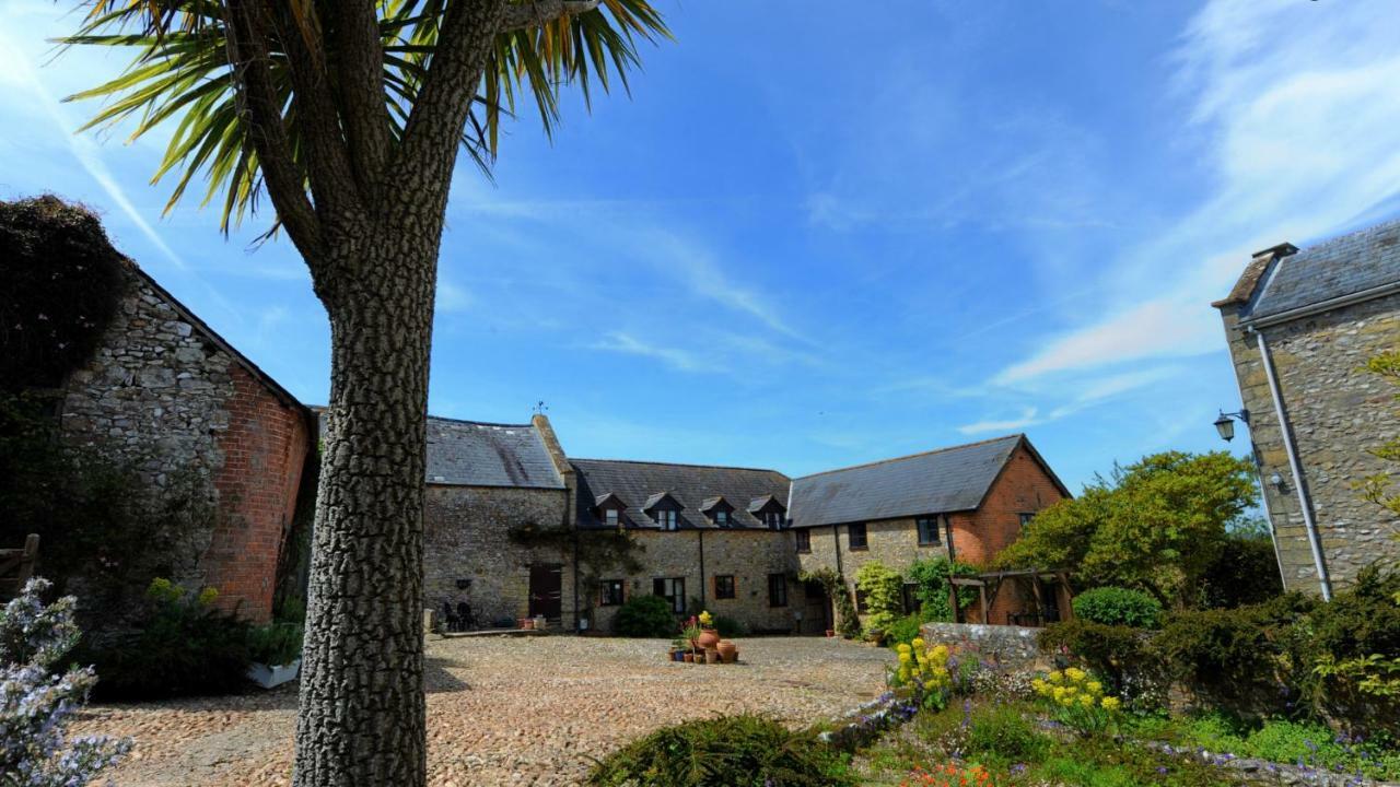Rose Cottage Musbury Εξωτερικό φωτογραφία